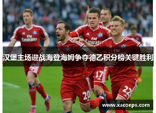 汉堡主场迎战海登海姆争夺德乙积分榜关键胜利